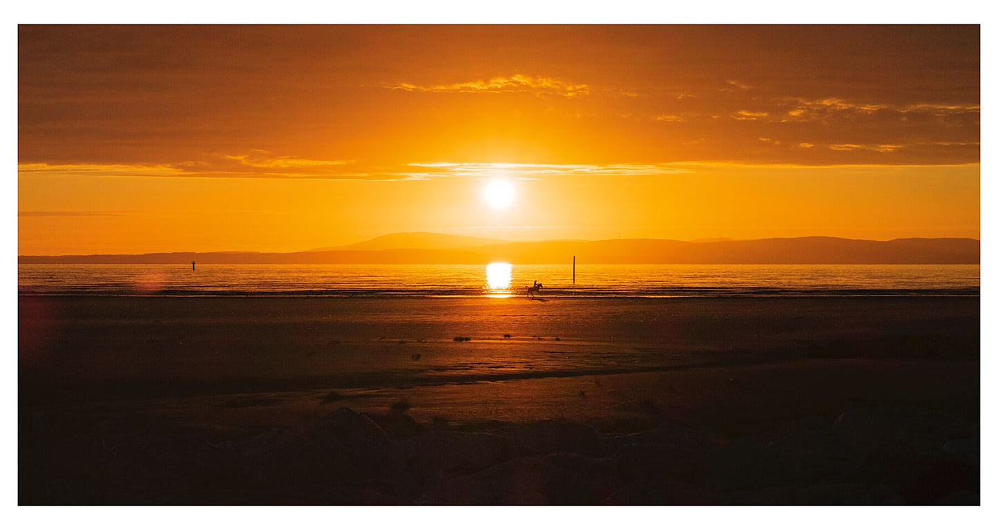7924923
